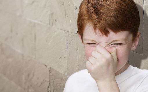 Badlüftung - Heizung - Sanitär - Rheinfelden - Frick - Nordwestschweiz - Schweiz - Kundendienst - Service - Sanitär Anlagen - Badumbau - Barrierefreies und altersgerechtes Bad - Dusch-WC - Dusche - Toilette - Wasseraufbereitung - Haushaltgeräte - Badlüftung - Heizungsanlagen - Brennstoffe und Wärmequellen - Heizkesselauswechslung - Radiator- und Bodenheizungen - Fördergelder und Beratungen